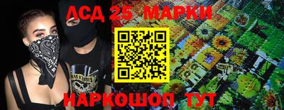 spice Моздок