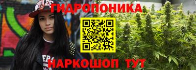 spice Моздок