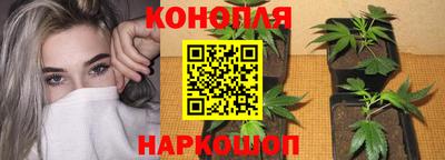 круглые Можга
