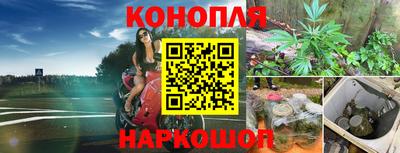 spice Моздок