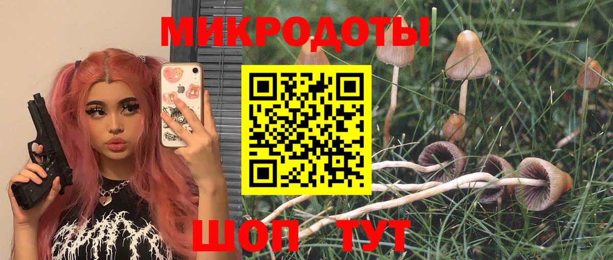 Галлюциногенные грибы мицелий Усинск